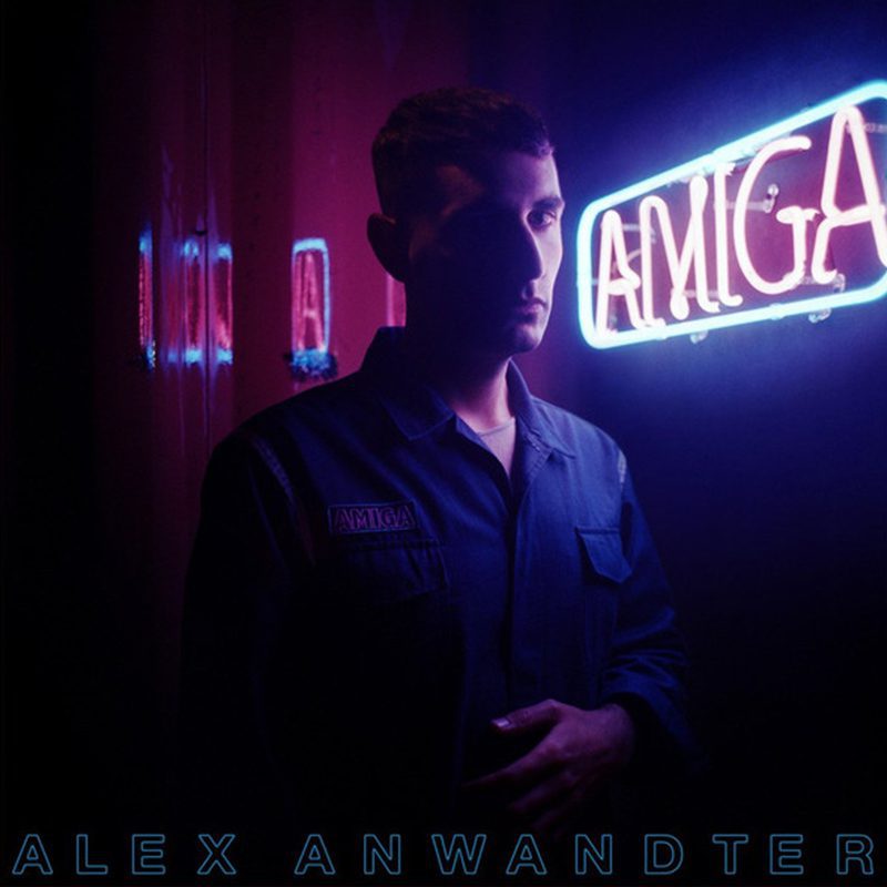 Vinilo - Alex Anwandter - Amiga